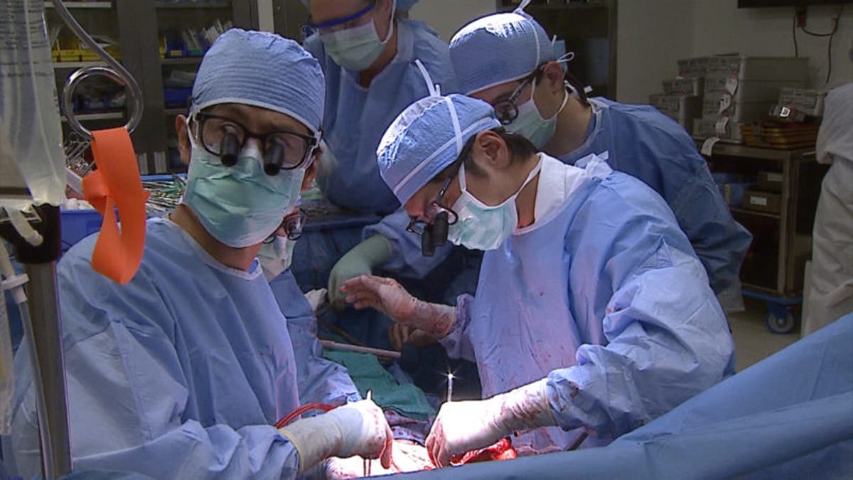 Dr. Hashimoto, center, and the surgical team transplant the donated liver segment in the recipient.