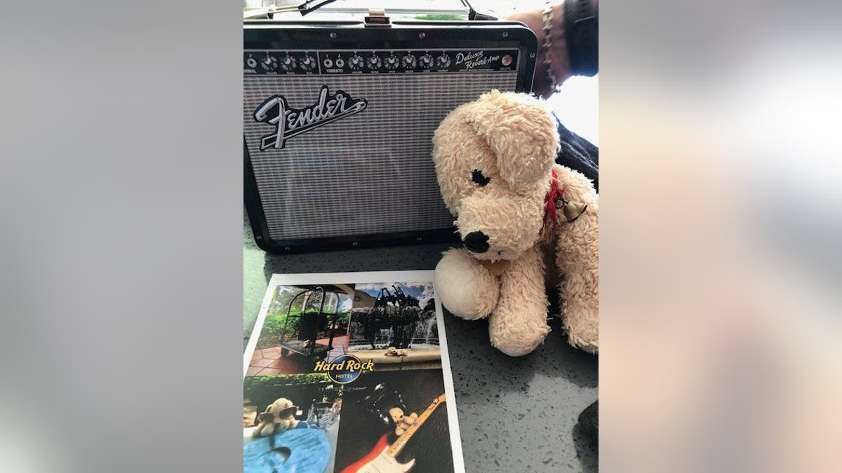 Employees at the Hard Rock Hotel at Universal Studios Orlando photographed Special Dog enjoying his extra vacation time, and send the pics along to Millie.