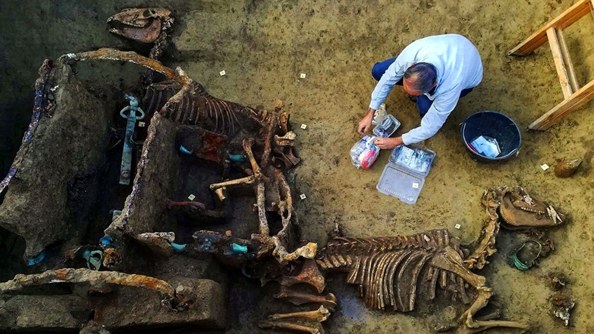 The remains found near the city of Vinkovci in Croatia; These images show the incredible discovery of a Roman chariot complete with the fossilized remains of horses that archaeologists have found as part of a burial ritual for “extremely wealthy families”. (Credit: CEN)