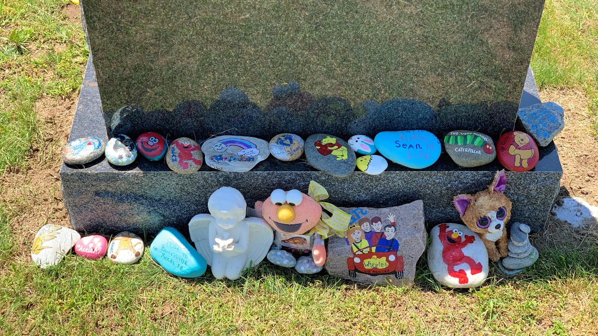 Some of the rocks currently at Sean's grave.