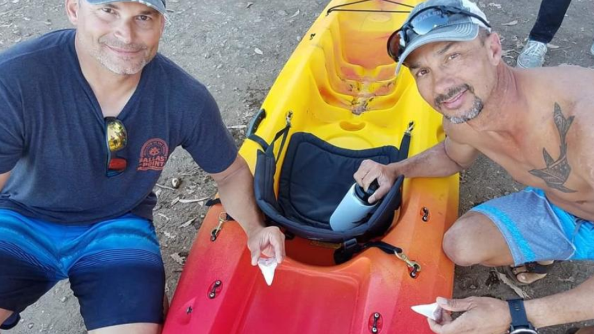 Bill Powers, left, and Danny McDaniel each hold a great white's tooth lost when the shark bit into McDaniel's kayak. <br>
