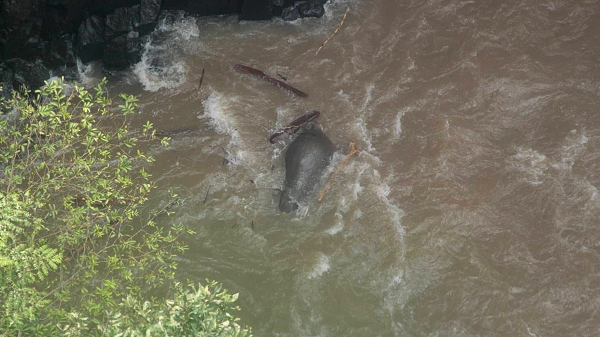 This photo taken by the Thailand Department of National Parks on October 5, 2019 shows a dead elephant at the bottom of a waterfall after it fell to its death at Khao Yai National Park in central Thailand.