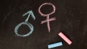 NY mom files lawsuit against school after son allegedly punished for defending 'two genders'