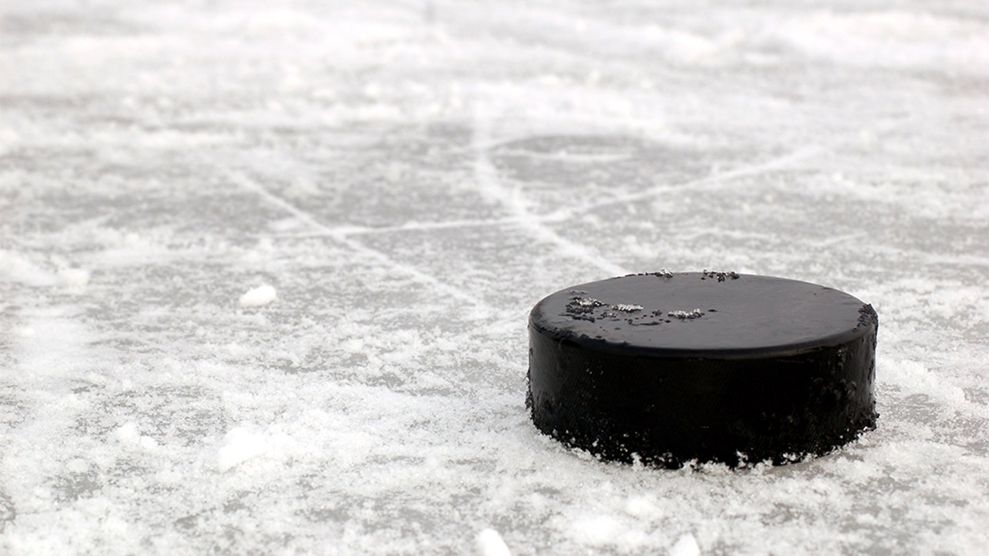 Hockey Puck