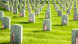 Arlington, Virginia, USA-May 29, 2016:Arlington National Cemetery Memorial Day Flags placed at each gravesite honoring the fallen in wars fought by Americans. The graves seem to goon forever in this image, no people present