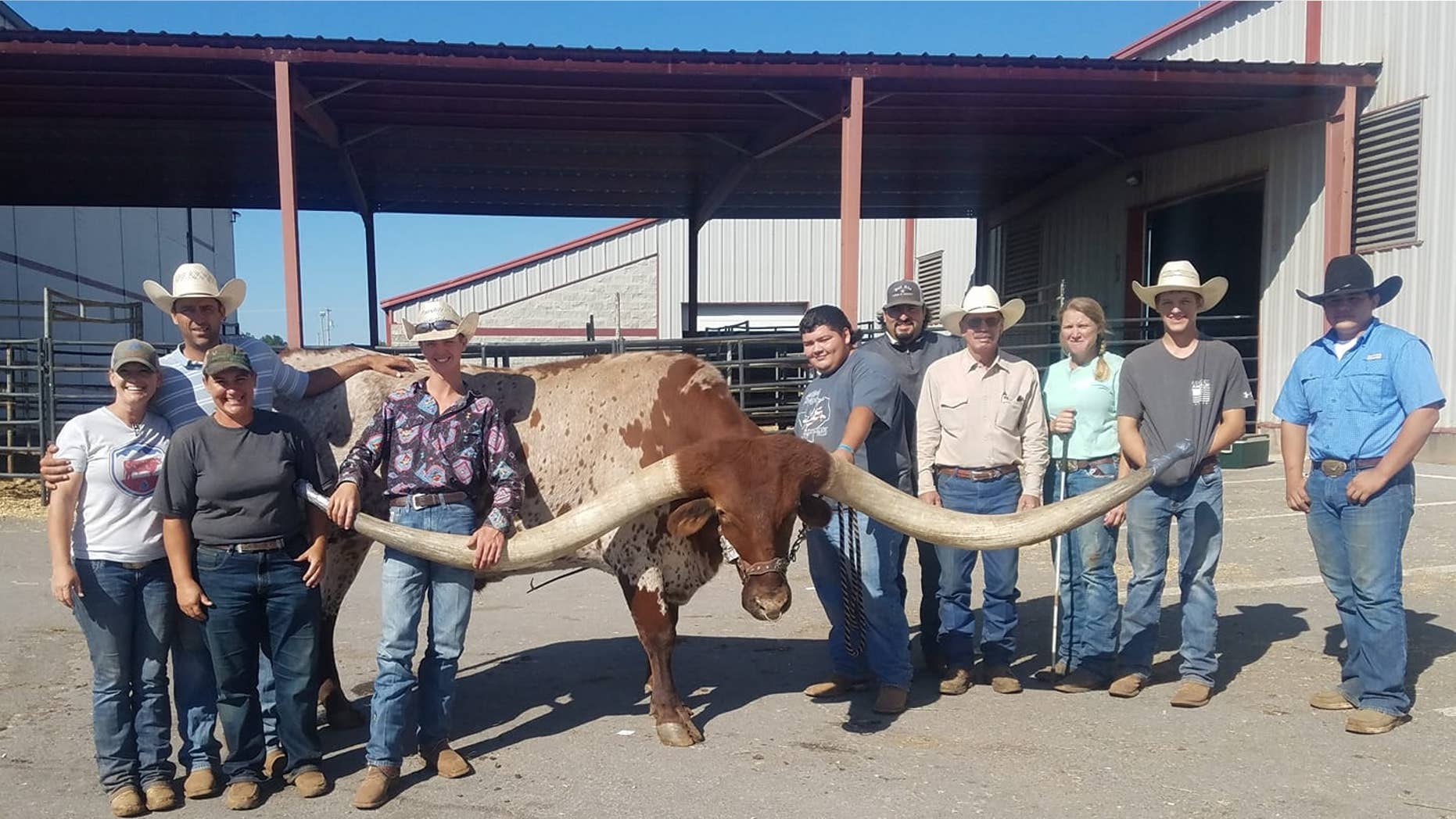 [Image: Longhorn-2.jpg?ve=1&tl=1]