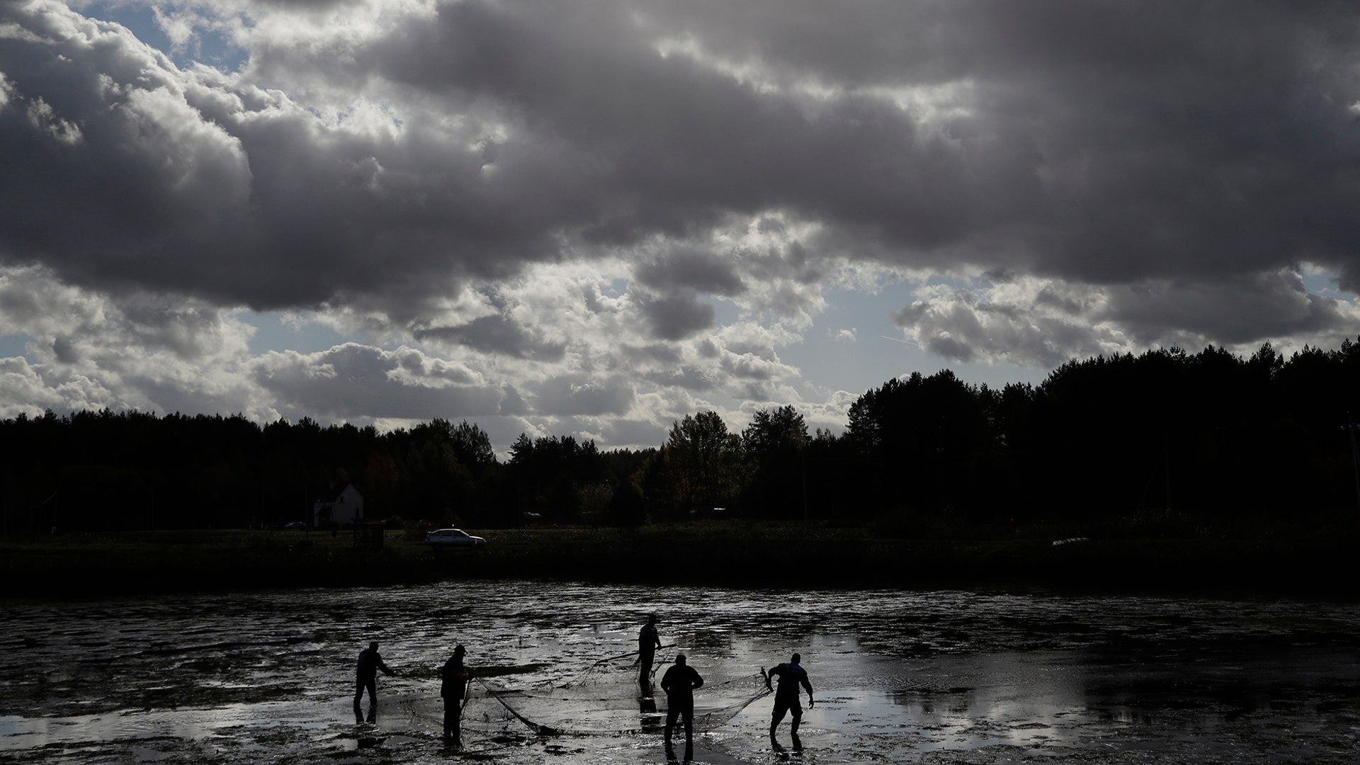 Fish farm workers drag a fishing net at a drained pond near the village of Berezhok, Belarus, Oct. 1, 2019. 