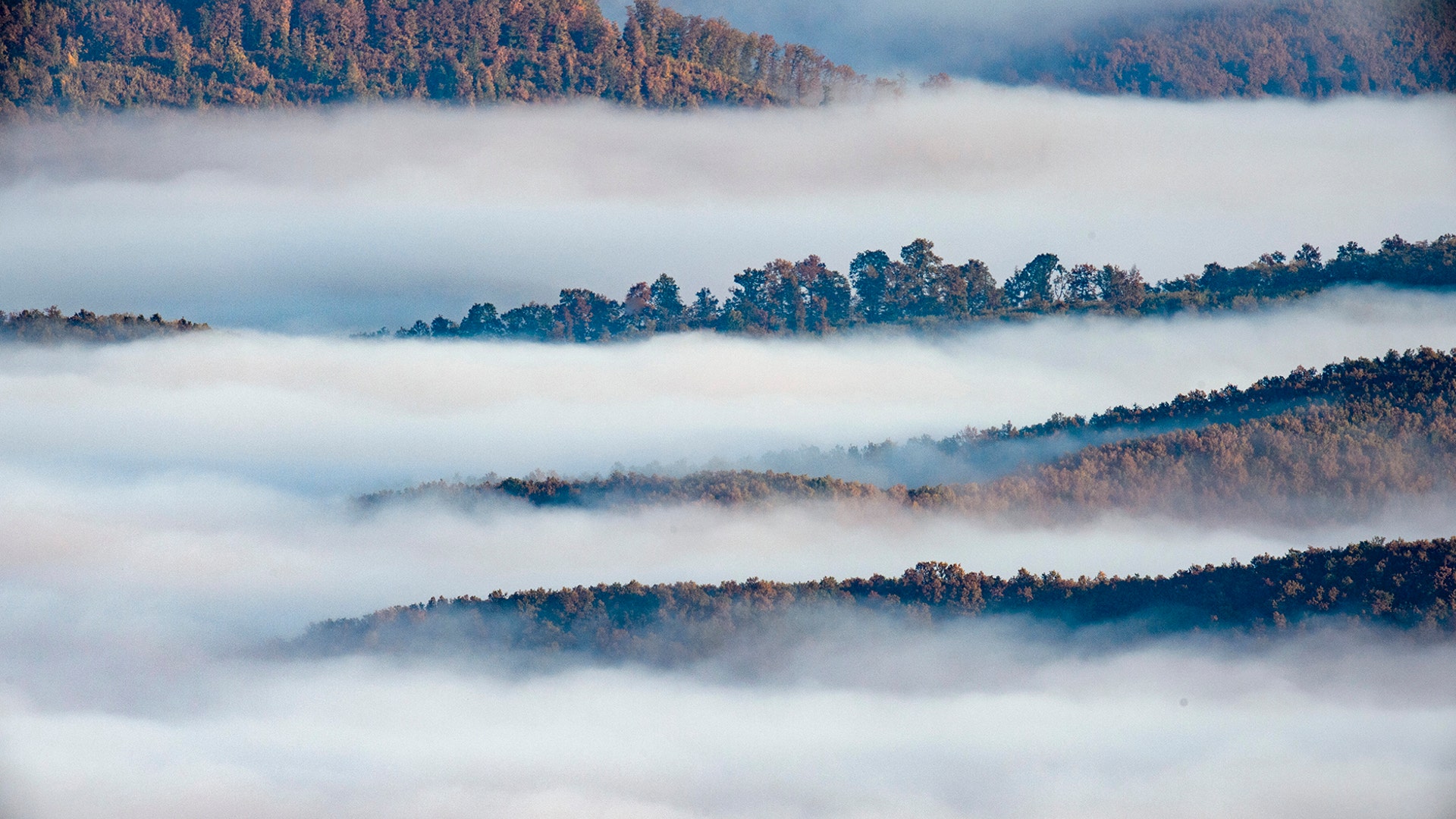 Morning mist covers the landscape near Kekesteto, Hungary, Oct. 17, 2019. 