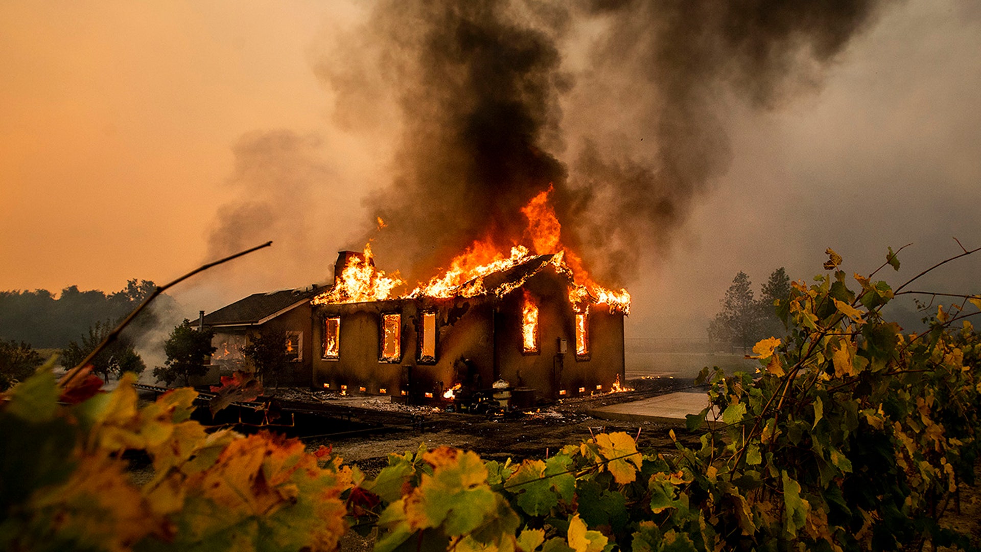 Vines surround a burning building as the Kincade Fire burns through the Jimtown community of unincorporated Sonoma County, Calif., on Thursday, Oct. 24, 2019. (AP Photo/Noah Berger)