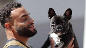 NFL's first emotional support dog helps undefeated 49ers during winning streak