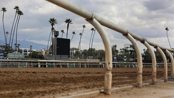 Santa Anita Park sees 35th horse die 1 week before Breeder's Cup