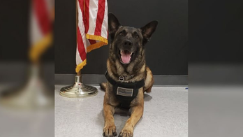 Ohio K-9 found missing 3-year-old in 10 minutes, police say