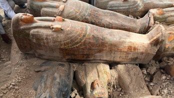 20 ancient wooden coffins discovered in Egyptian necropolis