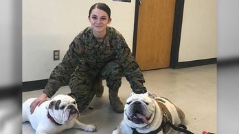 Marine corporal, 23, hit and killed after stopping to help someone in car crash in SC, officials say
