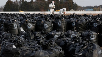 Typhoon Hagibis swept away Fukushima nuclear decontamination waste bags into river