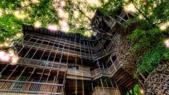 'World's tallest treehouse' in Tennessee burns to the ground in just 15 minutes