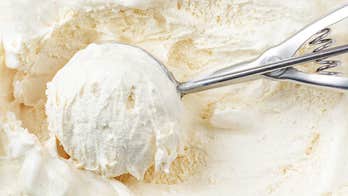 Wegmans vanilla ice cream is not 'flavored by real vanilla,' class action lawsuit alleges