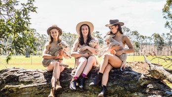 Veterinarian students strip down for racy calendar shoot in name of mental health