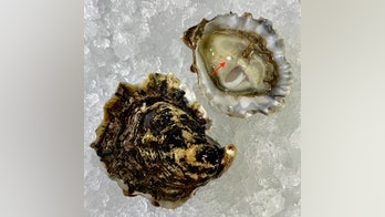Couple orders oysters on the half shell at New Jersey restaurant, finds 'once-in-a-lifetime' pearl