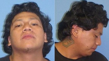 Illinois man accused of driving SUV into family, killing 1 and injuring 4