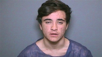 California man who stole endangered lemur from zoo sentenced to prison