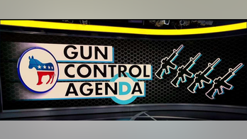 Dana Loesch says 2020 candidates agree with Beto on gun grab: 'This is the Democrat Party now'