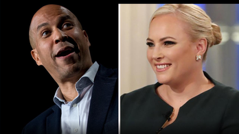 Loesch: Dems' ideas for gun confiscation by police are recipe for disaster