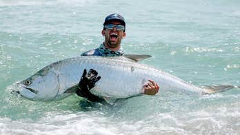 Florida fisherman catches enormous tarpon from shore with help from drone: 'People were freaking out'