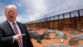 Trump asked about shooting migrants at border in legs if they threw rocks at agents, reportedly wanted a 'trench with deadly reptiles'