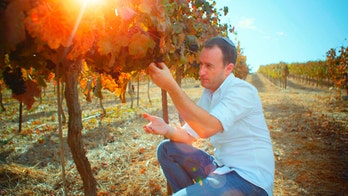 'I Am Israel' film highlights land, people of the Bible: 'Best proof God exists'