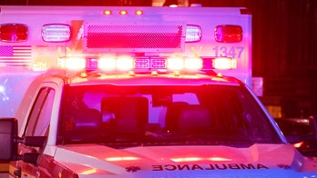 Texas boy recovering from dog mauling after multiple surgeries: reports