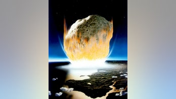 Asteroid that wiped out dinosaurs turned oceans into acid, shocking study says