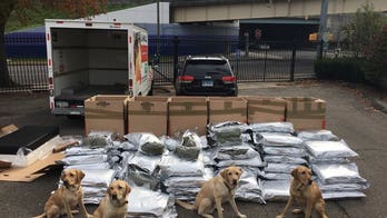 Connecticut police 'big dogs' sniff out 420 pounds of marijuana in U-Haul truck