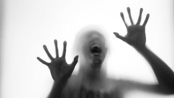 Petition to close 'extreme' haunted house gathers over 63K signatures: ‘It’s a torture chamber under disguise’