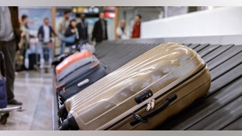 Baggage handler sentenced for tampering with passengers' checked bags in revenge plot against company