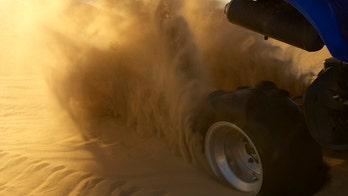 Dog runs over owner with four-wheeler in Alabama accident: report