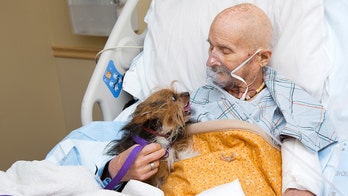 Vietnam Marine veteran in New Mexico hospice care reunites with beloved dog one last time