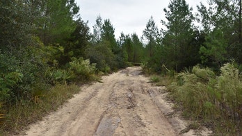 Florida hunter discovers human remains at Ocala National Forest: Smelled 'like death'