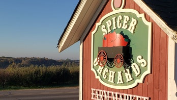 Thieves steal 22,000 apples from Michigan orchard: report