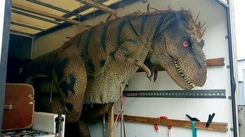 Monster truck? Police find T-Rex in back of van