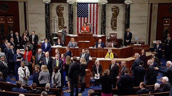 Congress a mirror of American society: REPORTER'S NOTEBOOK