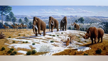 Asteroid impact 13K years ago wiped out woolly mammoths, sabre-tooth cats in mini ice age: study