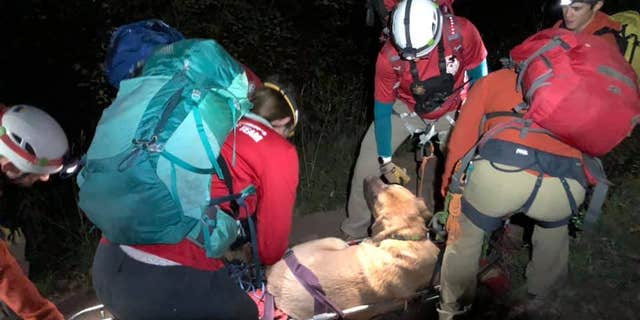 Rescuers in Salt Lake City said Floyd "was not able to move" after he hiked two miles up Grandeur Peak Hiking Trail in Millcreek Canyon.