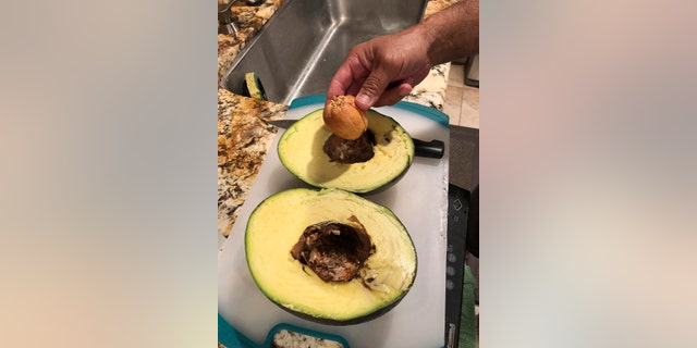The family in 2018 entered another avocado, but it did not meet all the elements of the Guinness verification process requiring input from a certified horticulturalist, two forms completed by witnesses, a state-certified scale, photographs, video and other documentation.