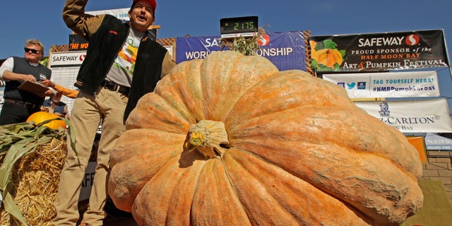 Weigh-off spokesman Timothy Beeman says Urena’s pumpkin is the second largest in the contest’s history.