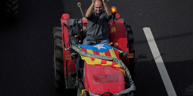 A protester with an