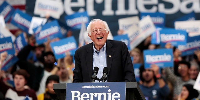 Democratic 2020 U.S. presidential candidate Senator Bernie Sanders holds a campaign rally in Detroit, Michigan. (REUTERS/Rebecca Cook) 