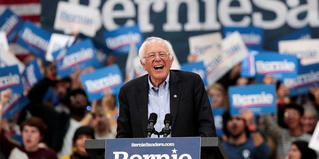 Democratic 2020 U.S. presidential candidate Senator Bernie Sanders holds a campaign rally in Detroit, Michigan. (REUTERS/Rebecca Cook)