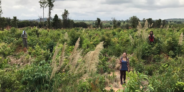 GIS (Geographic Information System) specialist Nina Hofer and archaeologists Sakhoeun Sakada and Lim Khanita indicating the location of an archaeological feature during ground verification in Phnom Kulen, March 2017. (Credit: JB Chevance, Archaeology and Development Foundation/Antiquity)