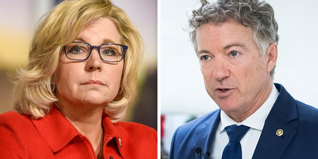 House GOP Conference Chairwoman Liz Cheney, R-Wyo., engaged in a new Twitter war with Sen. Rand Paul, R-Ky., amid the death of Islamic State leader Abu Bakr al-Baghdadi. (Getty, File)